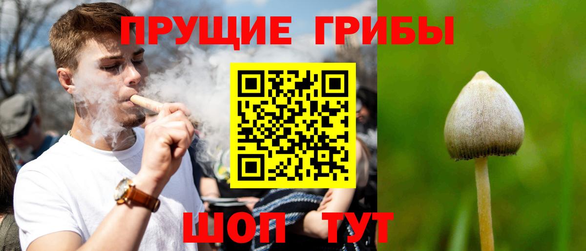Советский  как найти закладки  Вход с VPN  Псилоцибиновые грибы Cubensis 